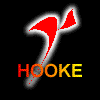 Hooke Log